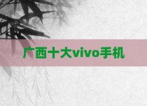 广西十大vivo手机