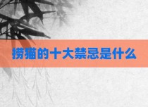 捞猫的十大禁忌是什么
