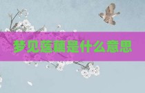 梦见莲藕是什么意思