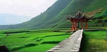 通城十大怪是什么怪