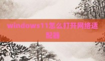 windows11怎么打开网络适配器