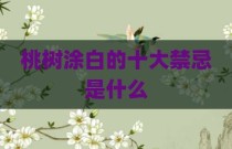 桃树涂白的十大禁忌是什么
