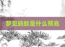 梦见蚂蚁是什么预兆
