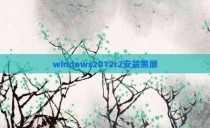 windows2012r2安装黑屏
