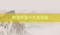 菊是中国十大名花吗