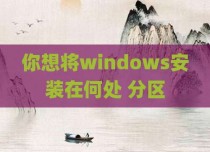 你想将windows安装在何处 分区