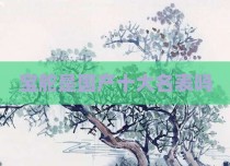 宝舵是国产十大名表吗