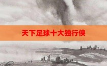 天下足球十大独行侠