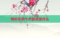 特价车的十大缺点是什么