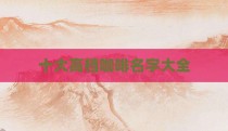 十大高档咖啡名字大全