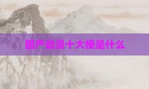 国产动漫十大梗是什么