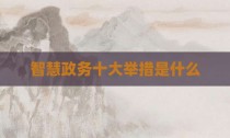 智慧政务十大举措是什么