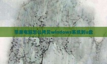 苹果电脑怎么拷贝windows系统到u盘