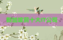新加坡前十大IT公司