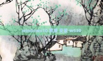 windows10 黑屏 安装 w530