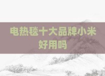 电热毯十大品牌小米好用吗