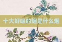 十大好吸的烟是什么烟