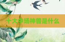 十大中场神兽是什么