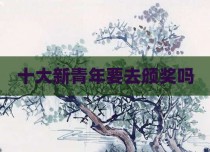 十大新青年要去颁奖吗