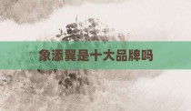 象添翼是十大品牌吗