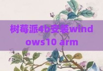 树莓派4b安装windows10 arm