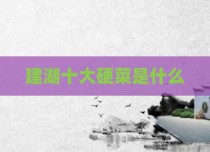 建湖十大硬菜是什么