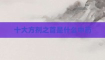 十大方剂之首是什么中药
