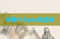 中国十大pos机品牌
