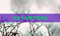 大足十大特产是什么