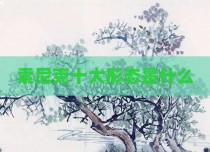 索尼克十大形态是什么