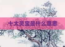 十大灵宝是什么意思
