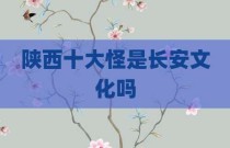 陕西十大怪是长安文化吗