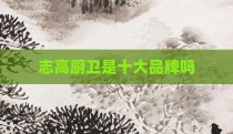 志高厨卫是十大品牌吗