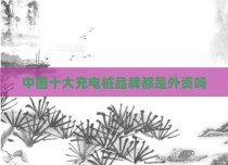 中国十大充电桩品牌都是外资吗