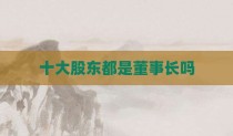 十大股东都是董事长吗