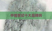 中维世纪十大品牌吗