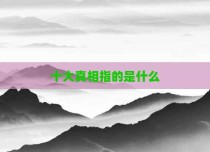十大真相指的是什么