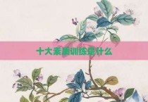 十大素质训练是什么