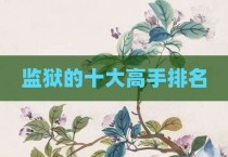 监狱的十大高手排名