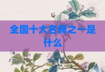 全国十大名牌之一是什么