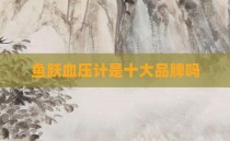 鱼跃血压计是十大品牌吗
