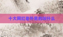 十大网红老外男的叫什么