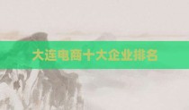 大连电商十大企业排名