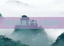 感觉器属于十大系统吗