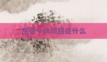 田径十大项目是什么