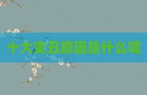 十大变丑原因是什么呢