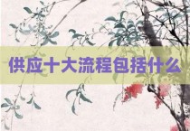 供应十大流程包括什么