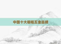 中国十大橱柜五金品牌