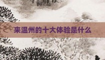 来温州的十大体验是什么