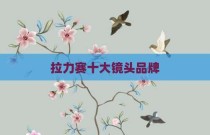 拉力赛十大镜头品牌